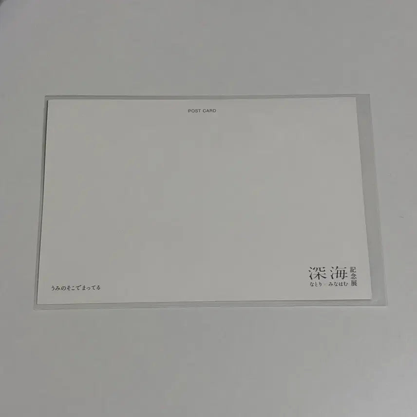 [BUNJANG] Natori Minahamu Deep Sea Exhibition Postcard &