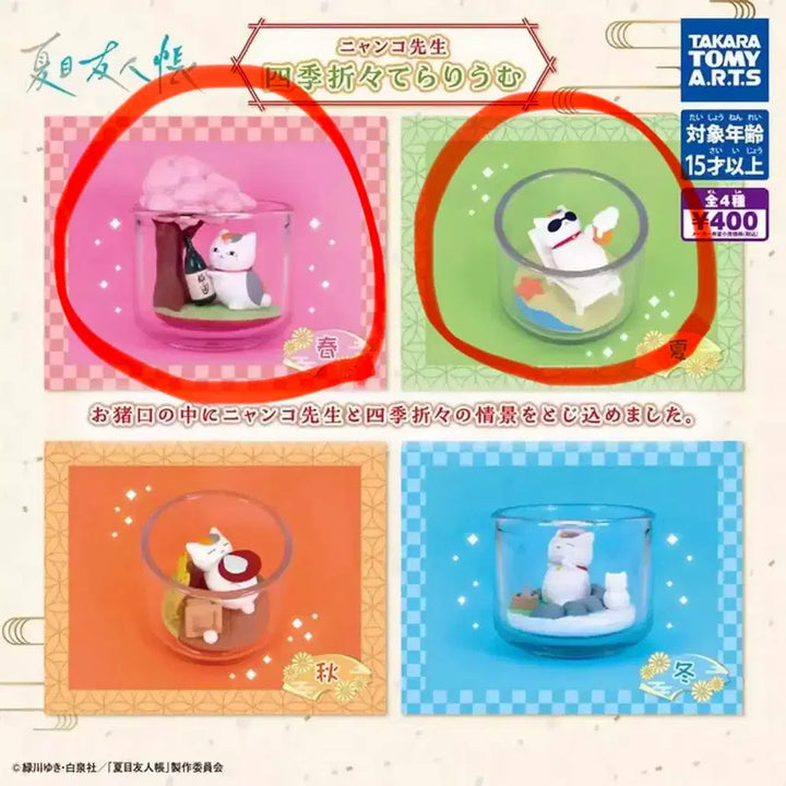 [BUNJANG] Natsume&