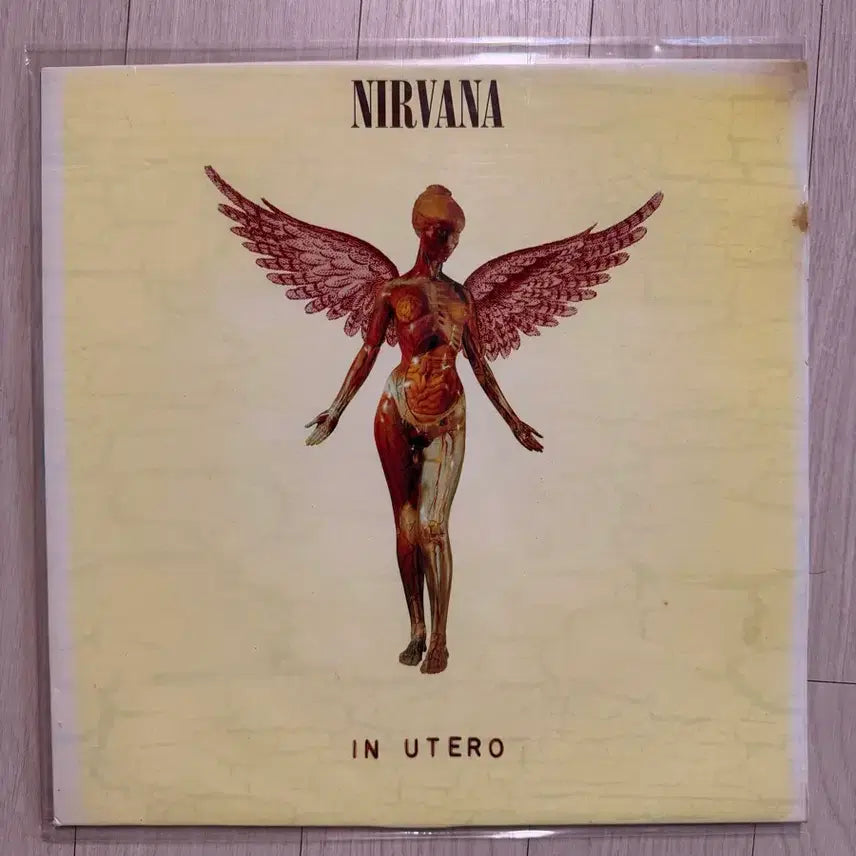 [BUNJANG] Nirvana "Nevermind" 3rd Album Licensed LP / 너바나 3집 nirvana 라이센스 lp