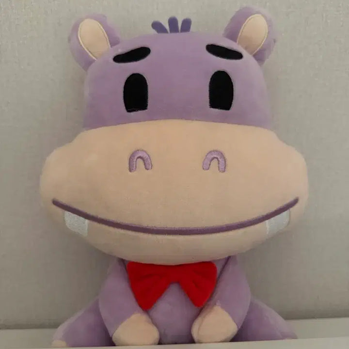 [BUNJANG] NFlying Yoo Hweseung Large Hamangi Plush / 엔플라잉 유회승 대왕 파티 하망이 개봉