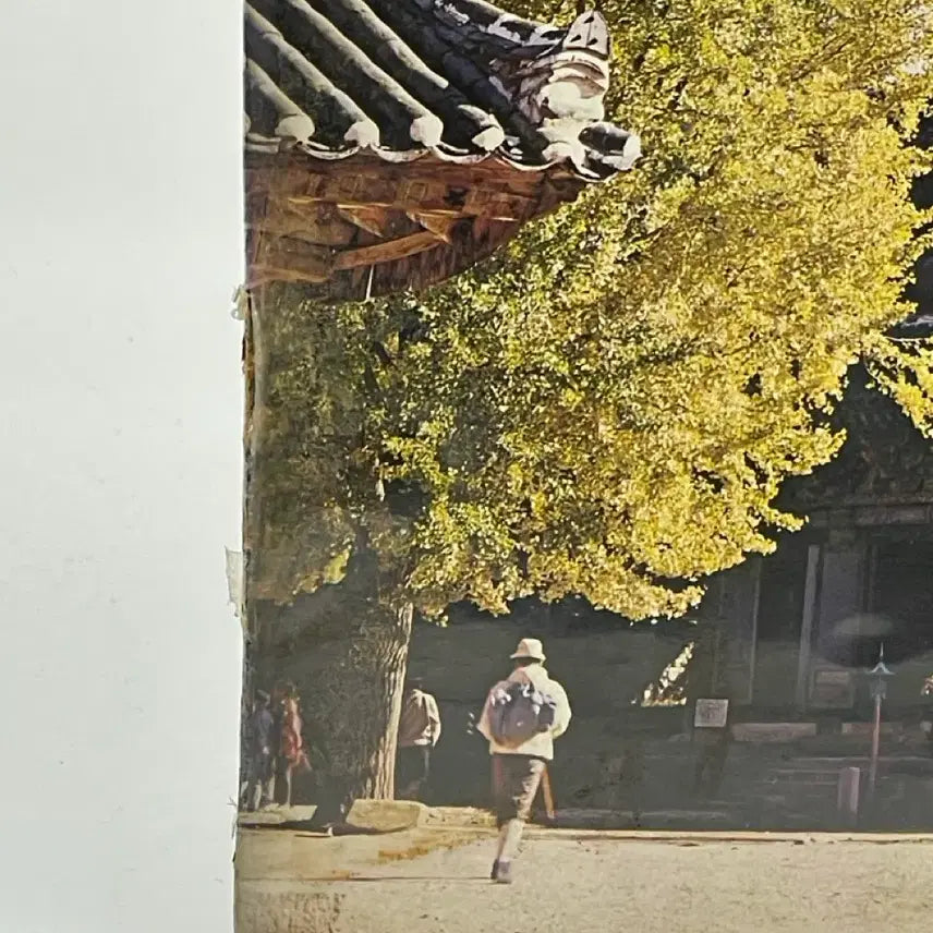 [BUNJANG] Palgyong Dokgyeong (Buddhist Scripture) Sungim Wonjeong Unsealed LP / [LP/미개봉] 팔양경 독경 비구니 원정스님