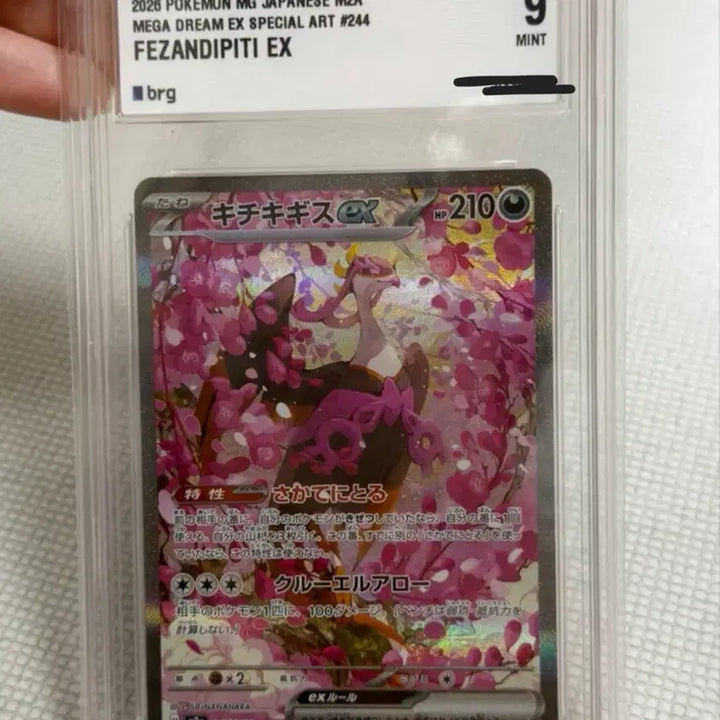[BUNJANG] Pokemon Card Megadream Groudon SAR Japanese / 급처!) 포켓몬카드 메가드림 기로치SAR 일판 BRG9 상태최상