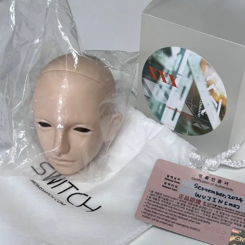 [BUNJANG] Switch Woojin 70cm Male Ball Jointed Doll Head &amp; Body / 구관 스위치 우진 sd 70 본체 구체관절인형 남아  헤드 바디