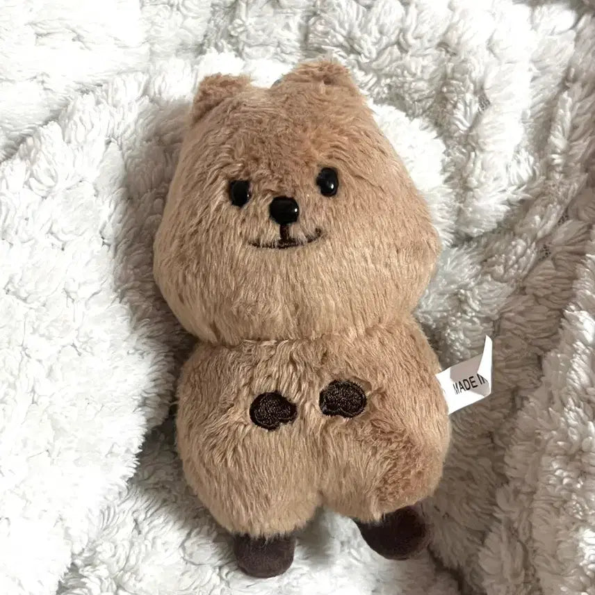 [BUNJANG] NCT 127 Jungwoo "Jjeongka" 10cm Doll (Unsealed) / 엔시티 127 정우 인형 쩡카