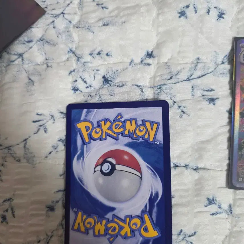 [BUNJANG] Album Charizard &amp; Venusaur North American Version / 앨범용 151 리자몽 , 이상해꽃 북미버전 팝니다