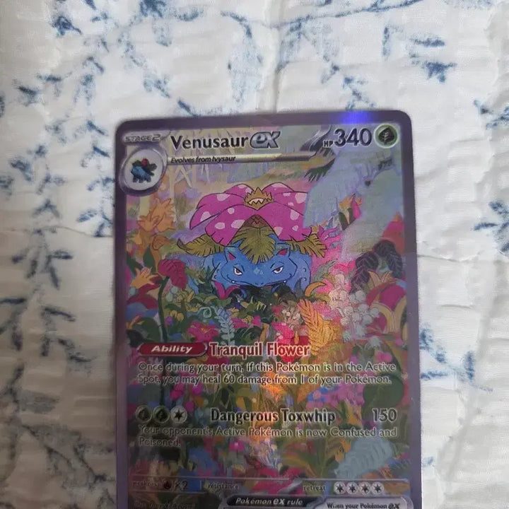 [BUNJANG] Album Charizard &amp; Venusaur North American Version / 앨범용 151 리자몽 , 이상해꽃 북미버전 팝니다