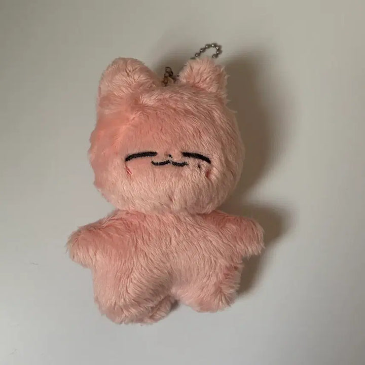 [BUNJANG] NCT Jaehyun Jaennyang Doll / 엔시티 재현 잰냥이 인형 양도
