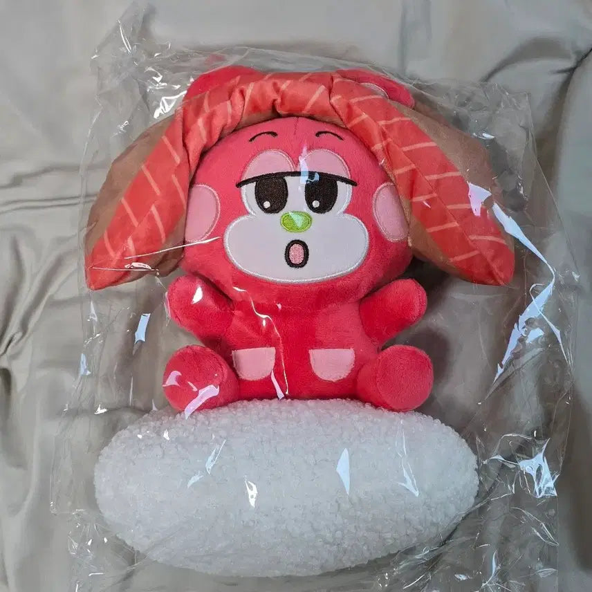 [BUNJANG] RIIZE RIIZCY Shotaro RIIZCY Doll / 라이즈 팝업 라이즈시 쇼타로 리즈코 인형