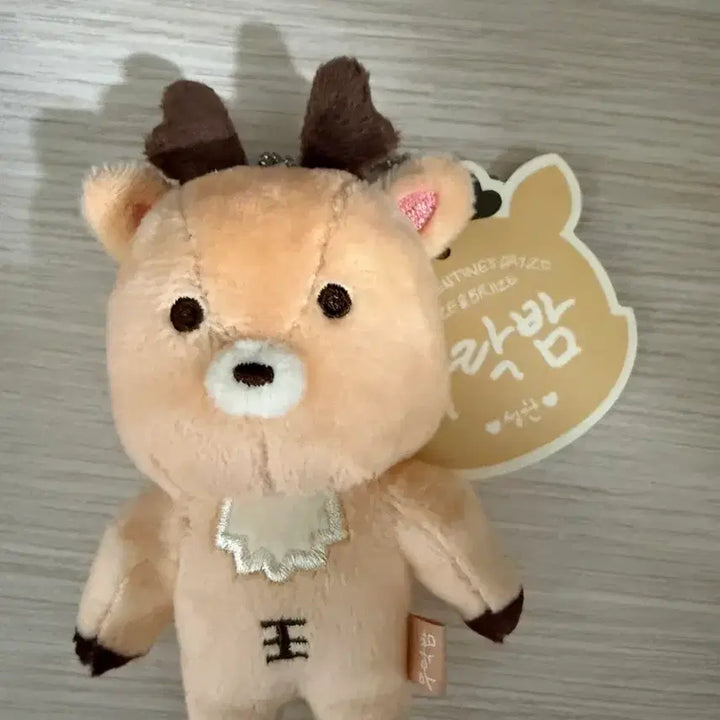 [BUNJANG] RIIZE Sungchan 1st Gen 10cm Photocard / 라이즈 성찬 우락밤 1기 10cm