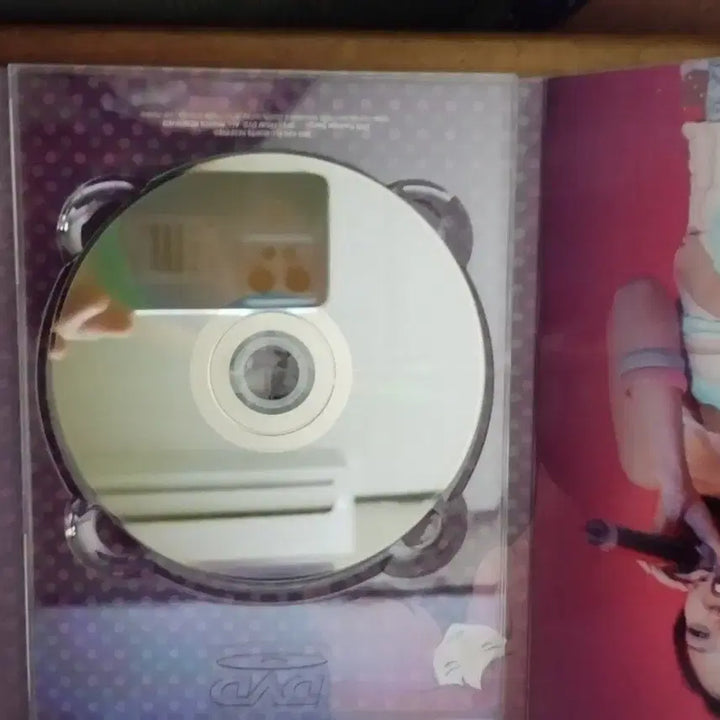 [BUNJANG] Jang Nara &amp; Jang Bban Live DVD / 장나라&amp;장뺀 LIVE DVD