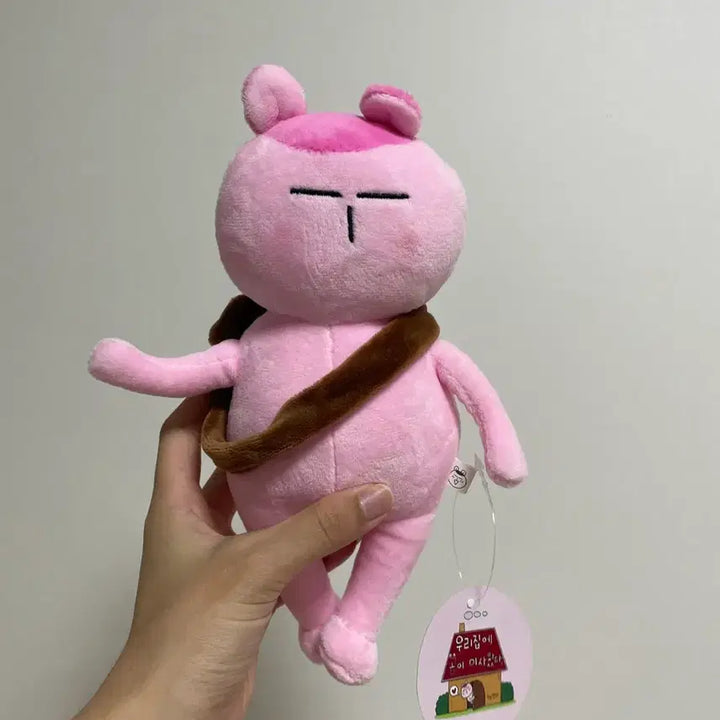[BUNJANG] GomToto Plush / 곰토토 인형