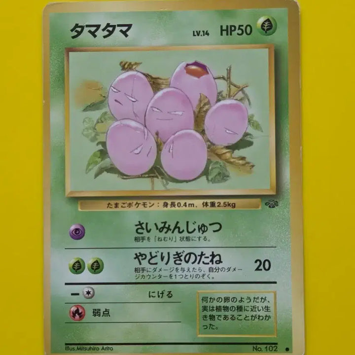 [BUNJANG] Pokemon Card 1996 Arari 1st Edition Japanese / 포켓몬카드 1996 아라리1 초기카드 일본판 일판 소장용 앨범용
