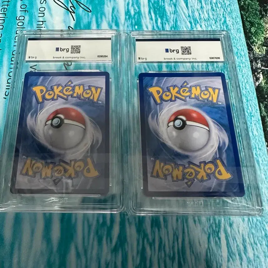 [BUNJANG] Mega Charizard X &amp; Mega Dragonite BRG10 Figures (Set) / 메가리자몽 brg10 메가망나뇽 brg10 팝니다