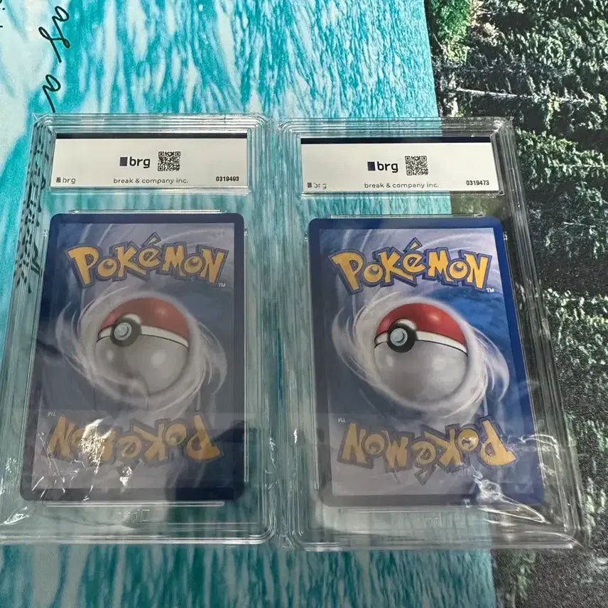 [BUNJANG] Mega Charizard BRG9 - 2 Types / 메가리자몽 brg9 2가지 팝니다