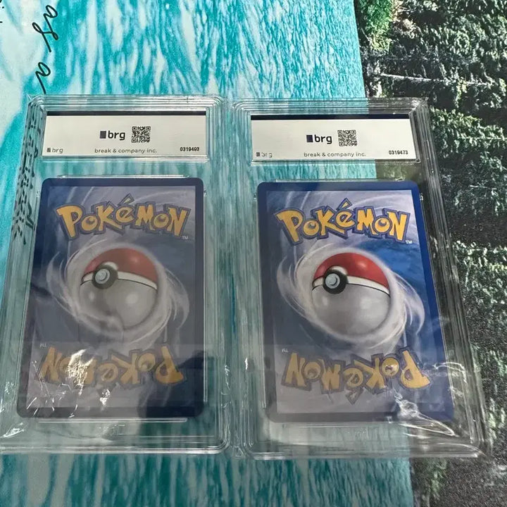 [BUNJANG] Mega Charizard BRG9 - 2 Types / 메가리자몽 brg9 2가지 팝니다
