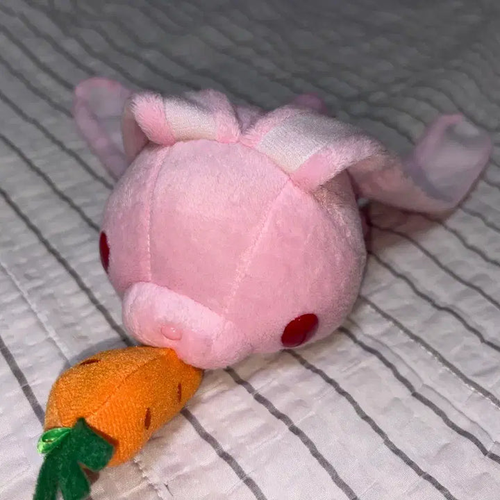 [BUNJANG] Carrot Rabbit Plush / 당근 범용토끼 당근먹는 범용토끼 분홍