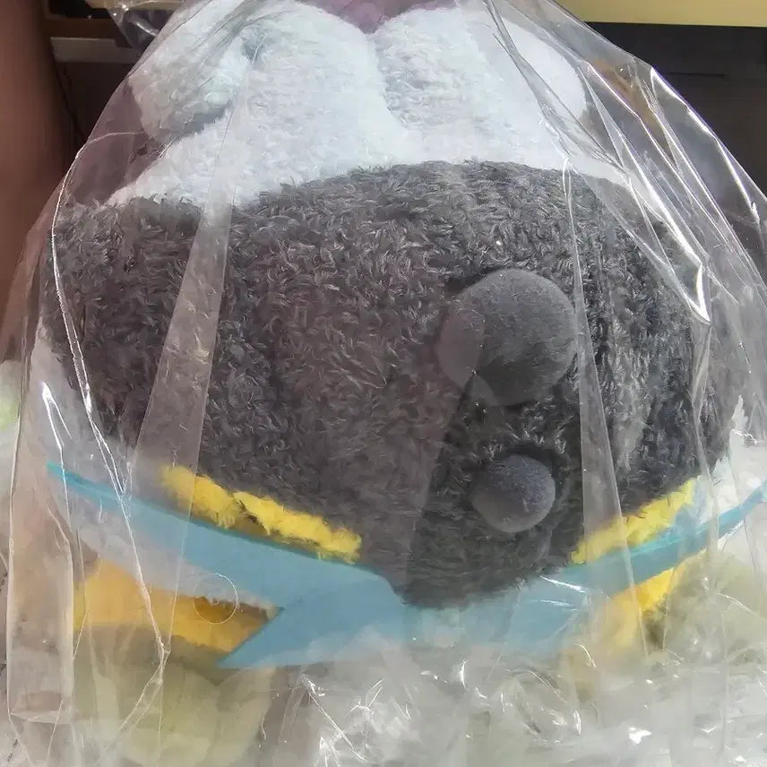 [BUNJANG] Pokemon Raikou Stretching Plush / 포켓몬 라이코 기지개 인형