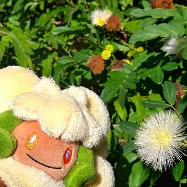 [BUNJANG] Pokemon Elfpong Plush Doll / 포켓몬스터 엘풍 인형
