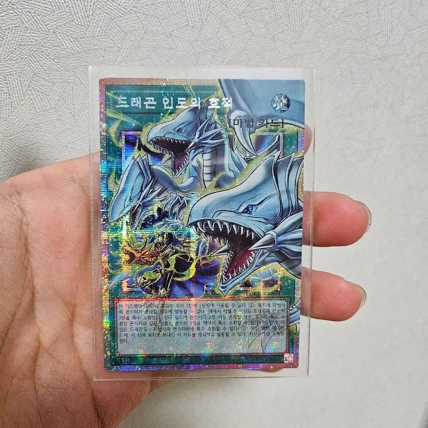 [BUNJANG] Dragon Shield (LOCR-KR003) Outer Sleeves / 드래곤 인도의 호적 오버프시크 locr-kr003
