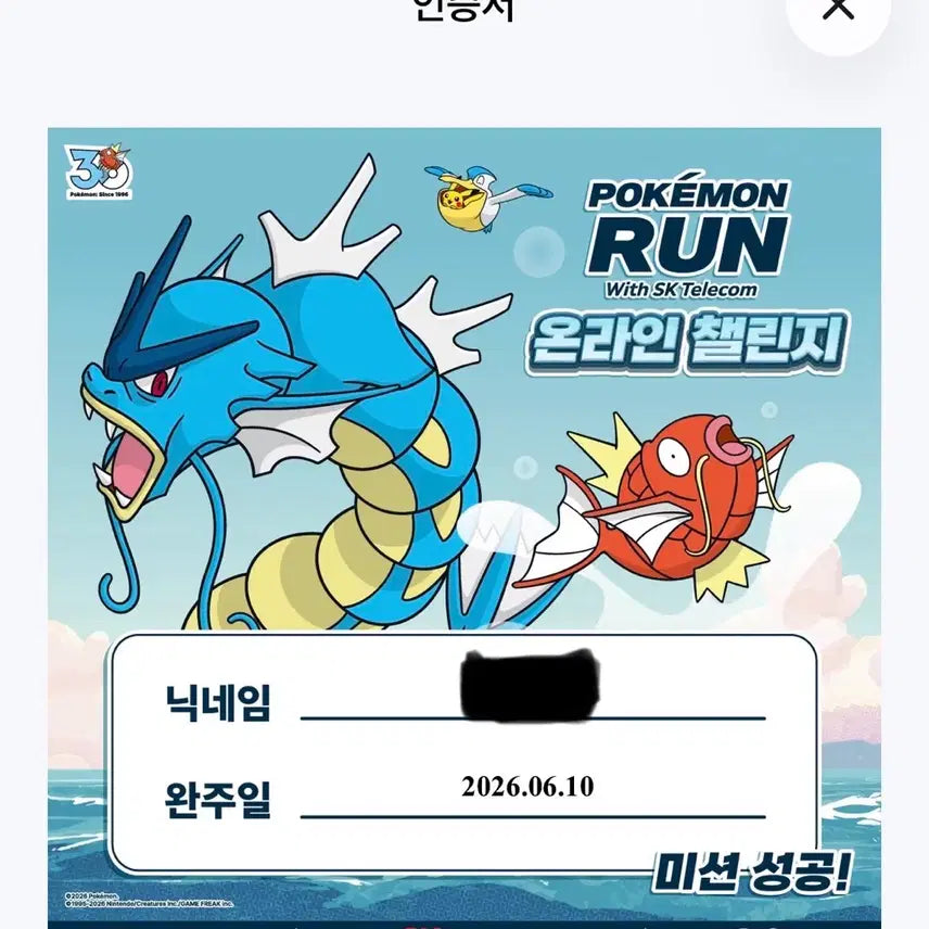 [BUNJANG] Pokemon 2-Card Bundle Magikarp Promo Card / [2장 일괄] 포켓몬 런 잉어킹 프로모 카드