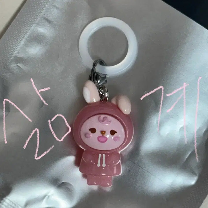 [BUNJANG] Day6 Secret Mini Charm Mejilushi / 데이식스 앙콘 엠디 시크릿 미니참 메지루시 양도