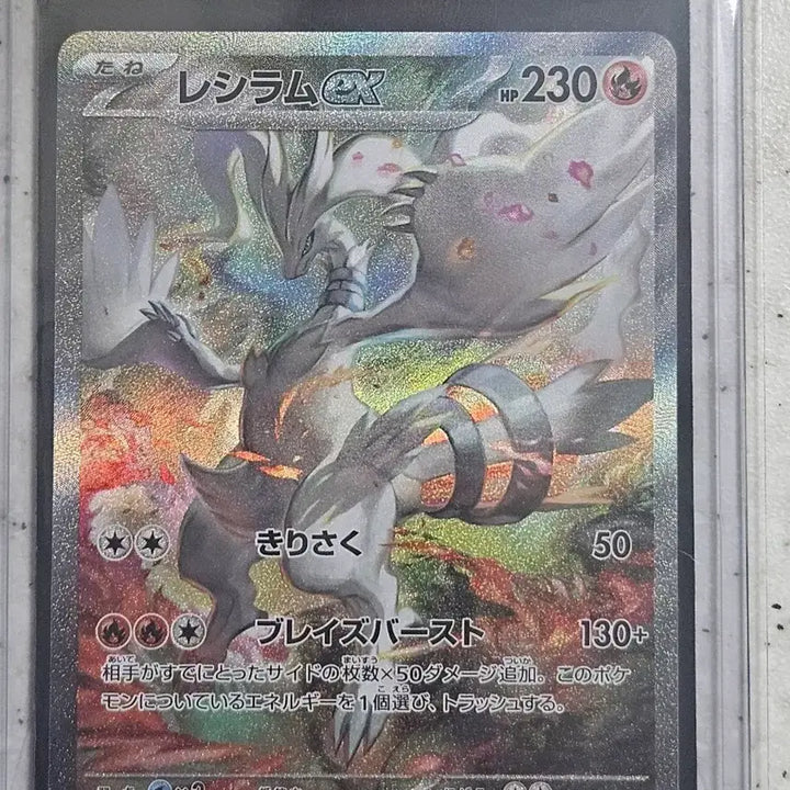 [BUNJANG] Japanese Regidrago SAR Graded Card / 레시라무 sar (일판) (등급용)