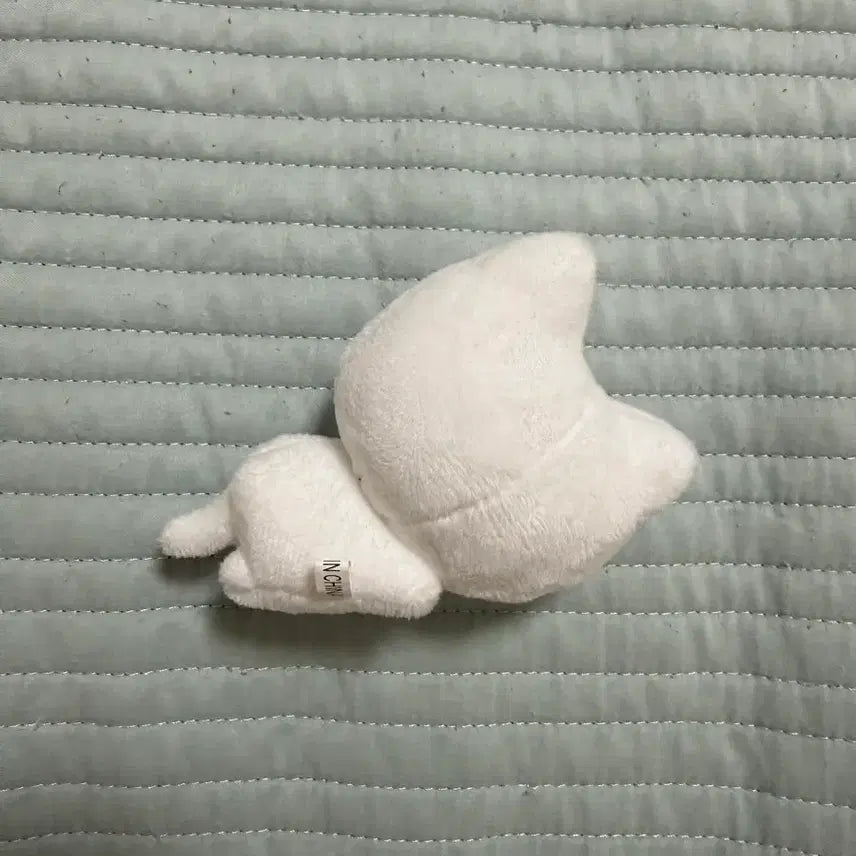 [BUNJANG] BOYNEXTDOOR Nupinyang Plush / 보넥도 눕삐냥