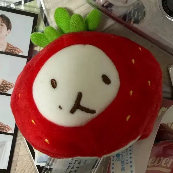 [BUNJANG] Baekhyun Bundle Set Photocard Holder / 백현 굿즈 찹쌀인형 포함 일괄 판매