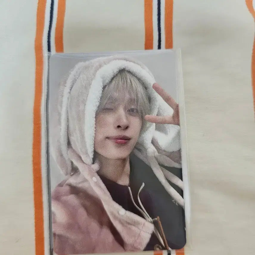 [BUNJANG] Xdinary Heroes Gaon Mubit Rabbit Blanket Photocard / 엑디즈 가온 지석 뮤빗 토끼담요 포카 판매합니다