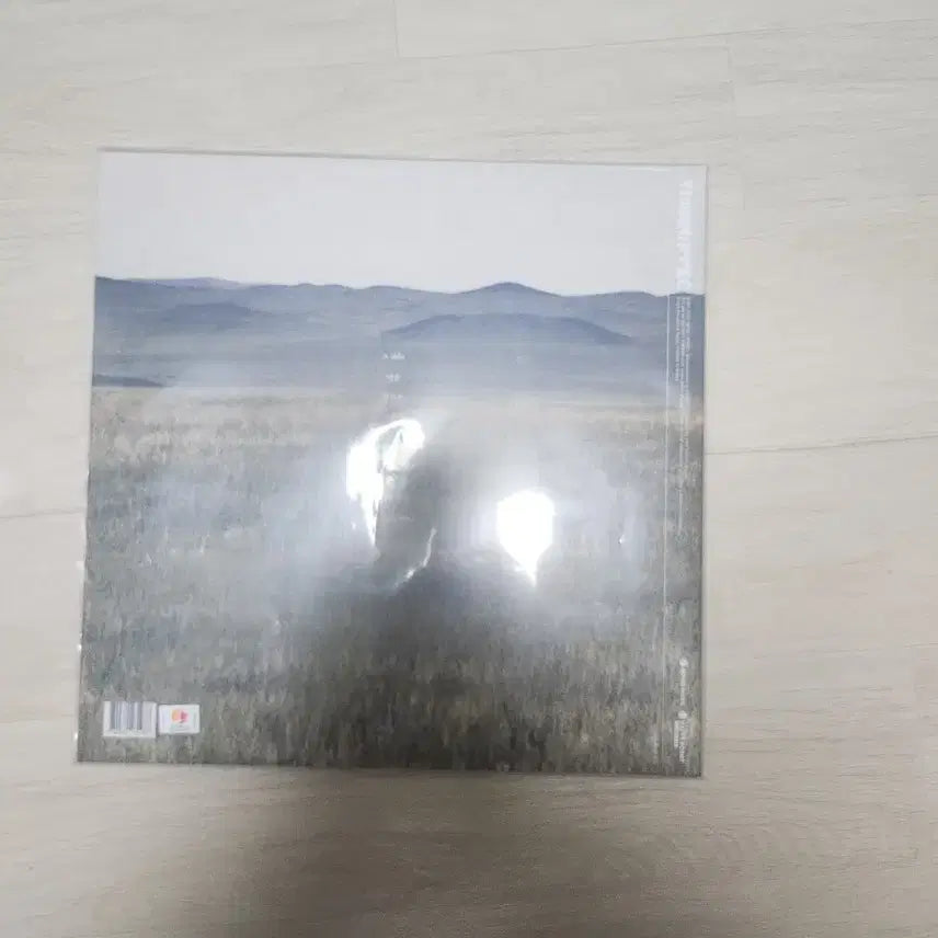[BUNJANG] Thornapple Animal LP Vinyl / 쏜애플 동물 lp