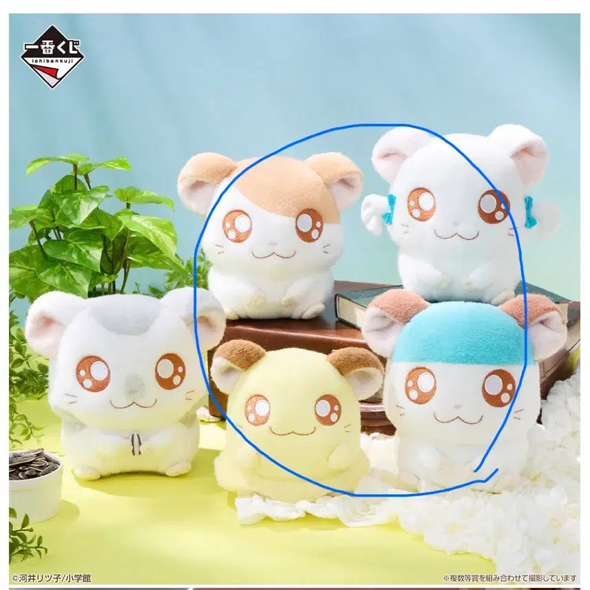 [BUNJANG] Hamtaro Lottery Ichiban Kuji Sealed Bundle Set (Grades B, C, E, F) / 미개봉 4종 일괄 햄토리 쿠지 B상 C상 E상 F상