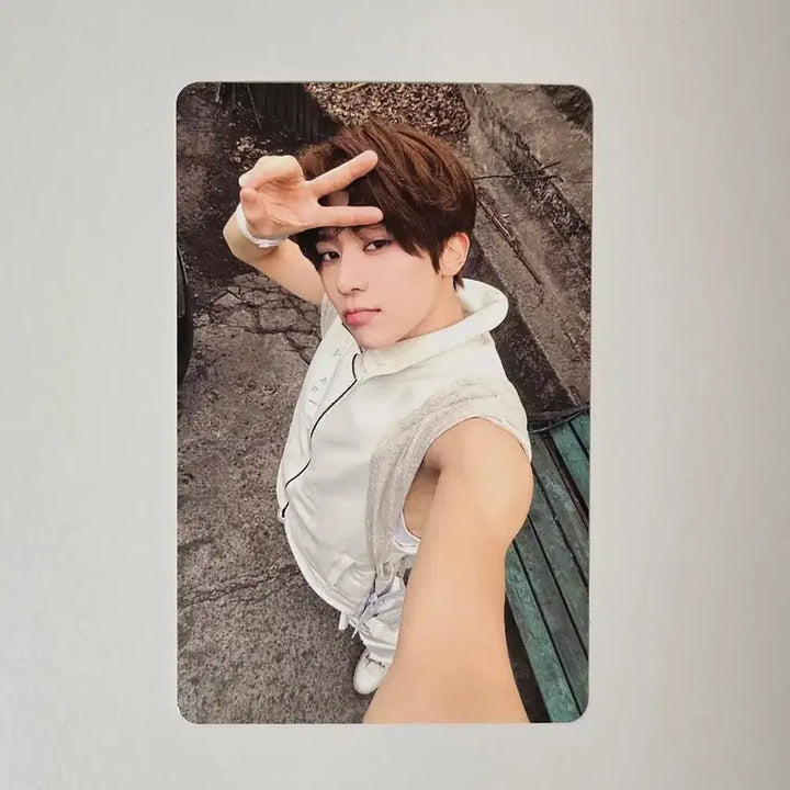 [BUNJANG] NCT WISH Odd To Love Popup Photocard Sion / 엔시티위시 오드투러브 팝업 구매 포카 시온