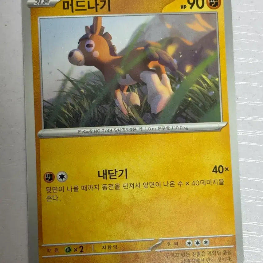 [BUNJANG] Mudkip Pokemon Card / [귀여운 포켓몬카드] 머드나기