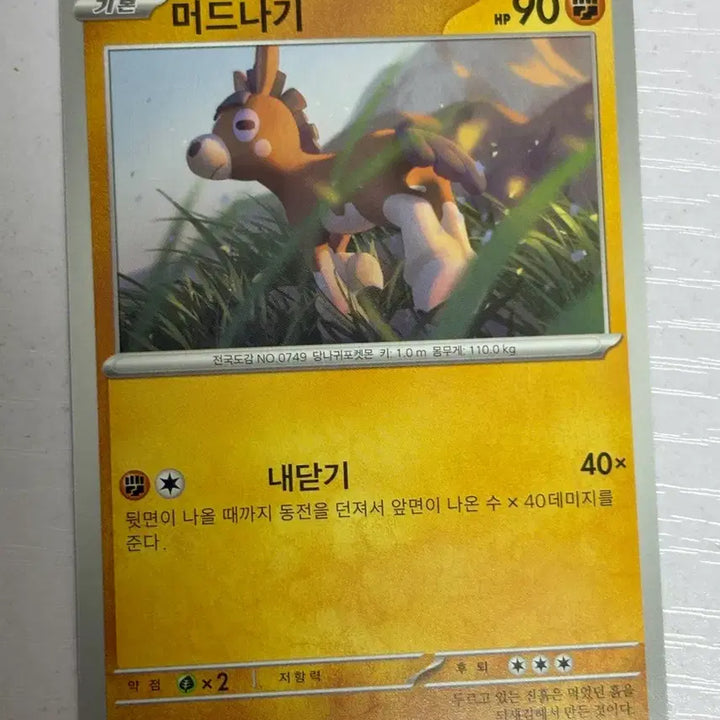 [BUNJANG] Mudkip Pokemon Card / [귀여운 포켓몬카드] 머드나기