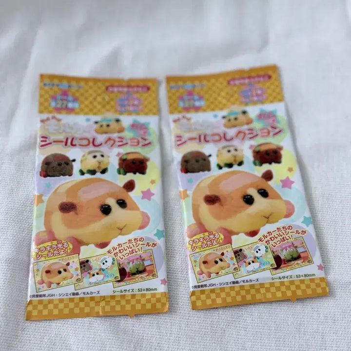 [BUNJANG] Moruka Card Set / 모루카 카드 세트