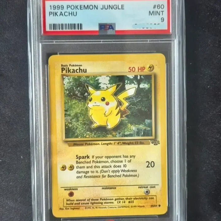 [BUNJANG] 1999 Pokemon Card North American First Edition Pikachu Junglechu / (급처) 1999 포켓몬카드 북미판 초판 피카츄 정글츄