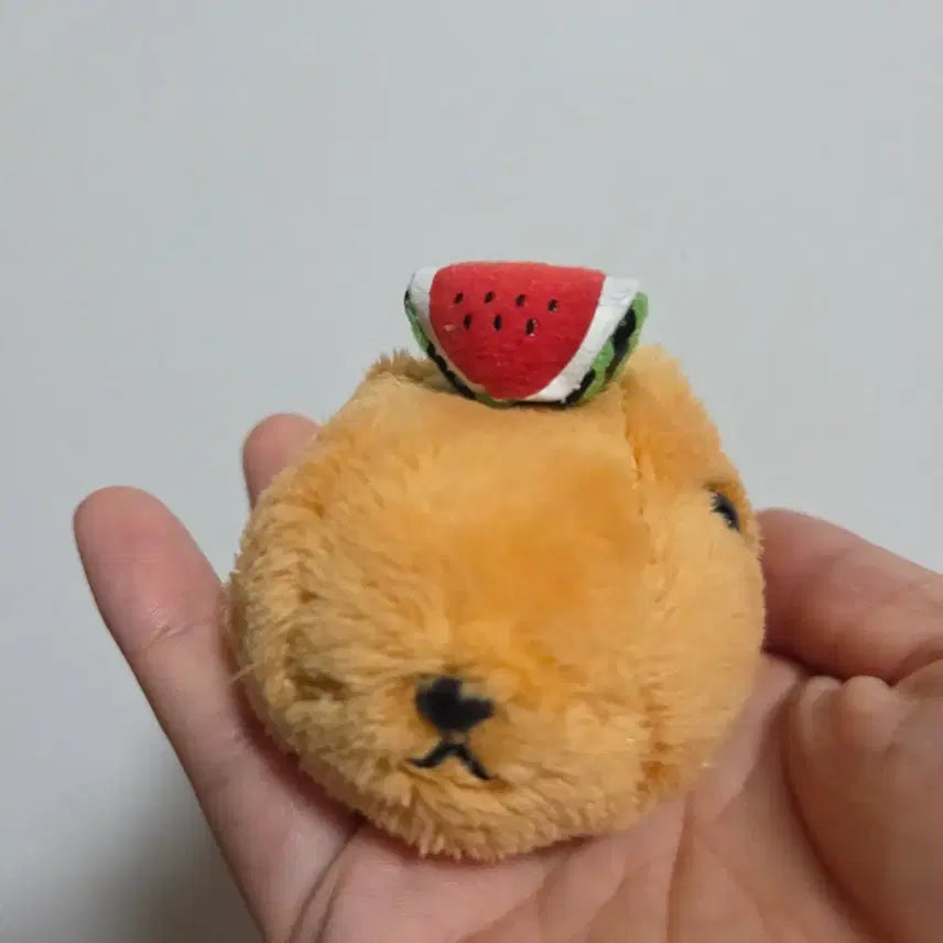 [BUNJANG] Vintage San-X Copybara-san Watermelon Keychain / 빈티지 토이 캐릭터 굿즈 고전 만화 인형 산엑스 카피바라상 수박 키링