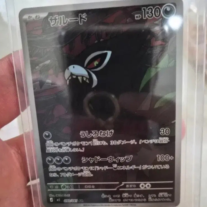 [BUNJANG] Pokemon Card Japanese Zarude Centering / 상태s급 자루도일판 센터링 완벽