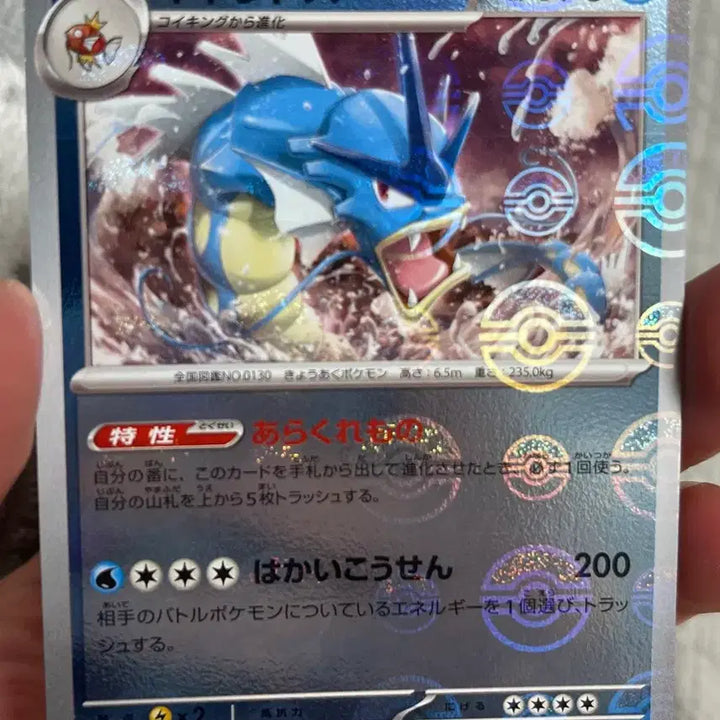 [BUNJANG] Pokemon Card Magikarp &amp; Gyarados Monster Ball Bundle Set (Japanese) / 포켓몬카드 일판 잉어킹과 갸라도스 몬스터볼 일괄