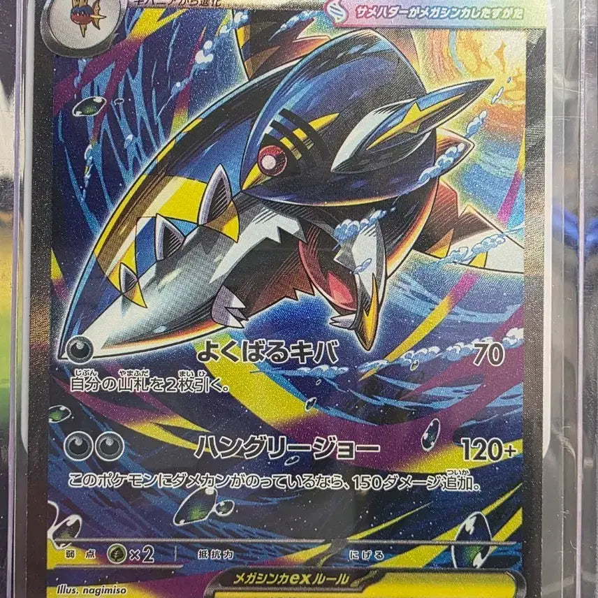 [BUNJANG] Pokemon Card Mega Sharpedo EX SAR Japanese / 포켓몬카드 메가샤크니아EX SAR 일판