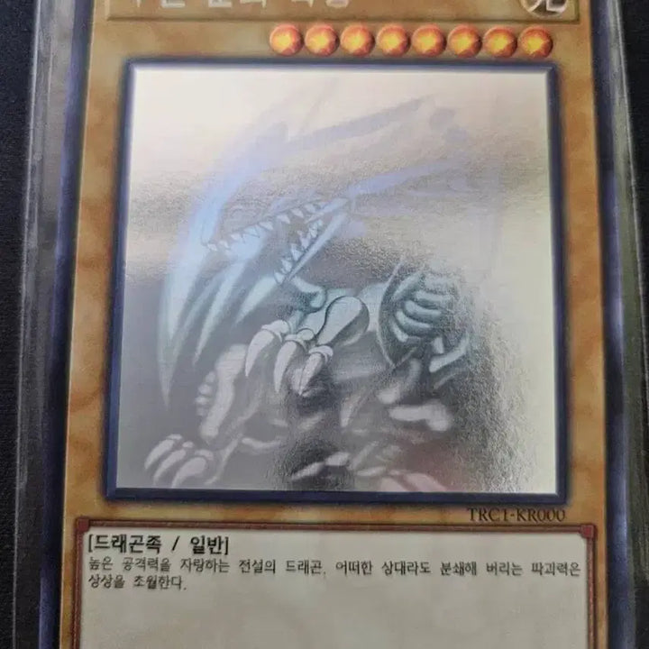 [BUNJANG] Yu-Gi-Oh! Blue-Eyes White Dragon Holo / 유희왕카드 푸른눈의 백룡 홀로 판매합니다