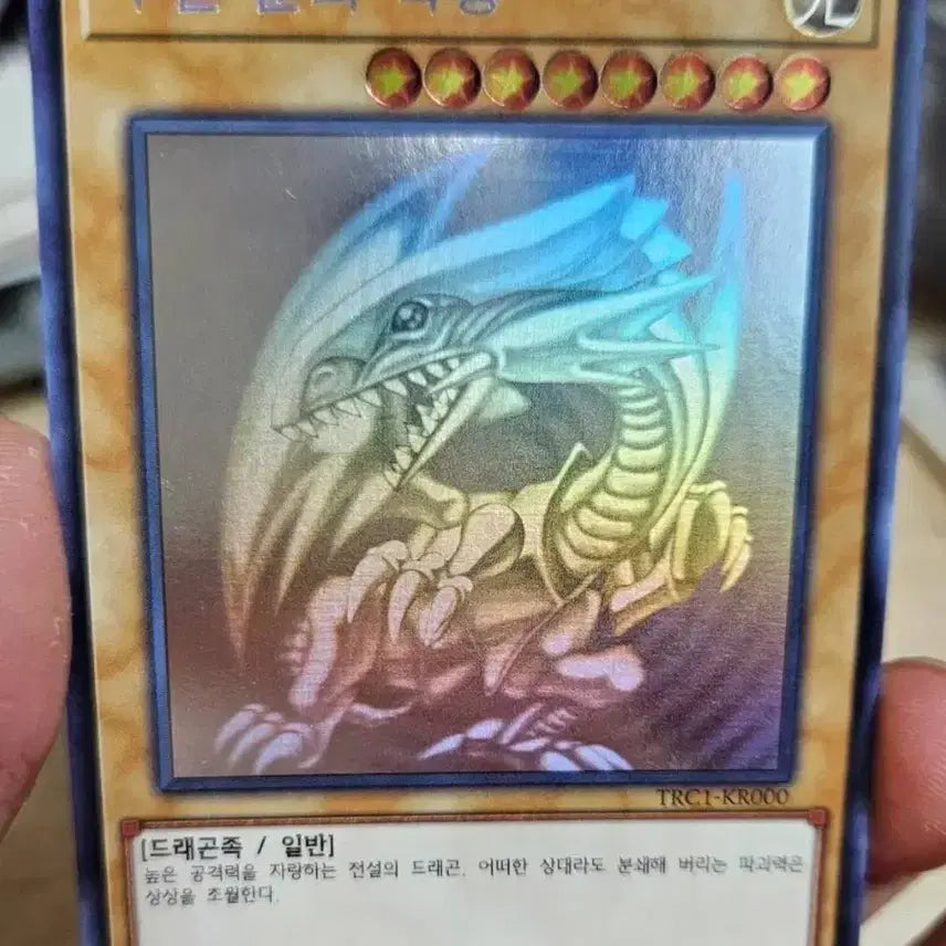 [BUNJANG] Yu-Gi-Oh! Blue-Eyes White Dragon Holo / 유희왕카드 푸른눈의 백룡 홀로 판매합니다