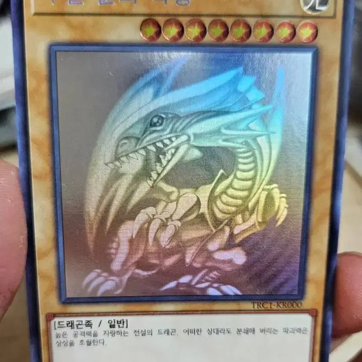 [BUNJANG] Yu-Gi-Oh! Blue-Eyes White Dragon Holo / 유희왕카드 푸른눈의 백룡 홀로 판매합니다