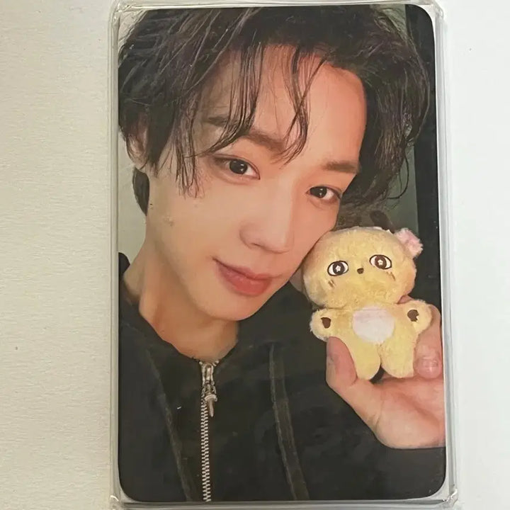 [BUNJANG] Park Jihoon Sosimi Photocard / 박지훈 소심이 포카