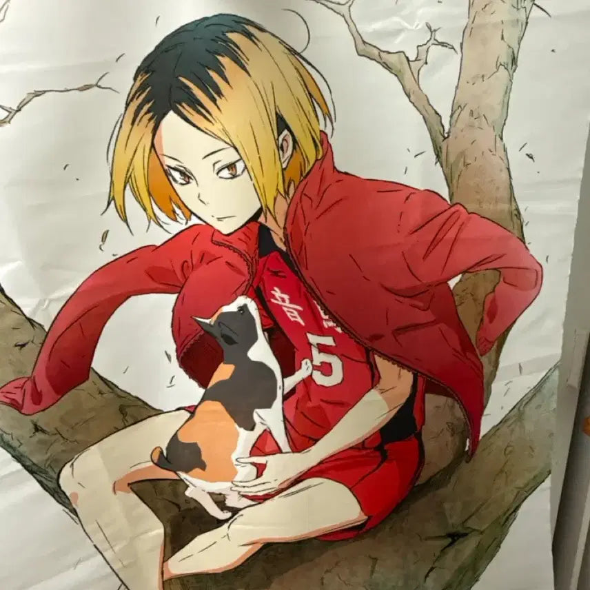 [BUNJANG] Haikyu!! Kenma Kozume Barefoot Tapestry / 급처분)하이큐 켄마 맨발 태피스트리
