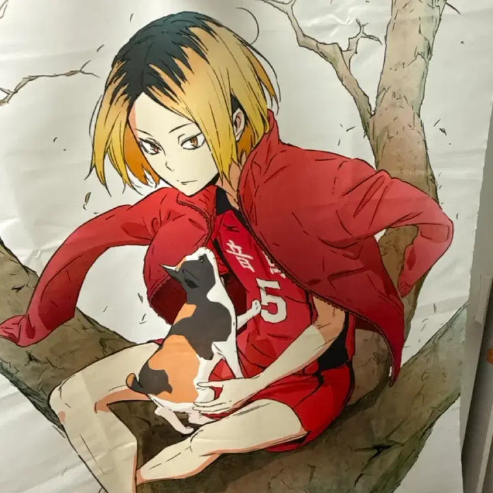 [BUNJANG] Haikyu!! Kenma Kozume Barefoot Tapestry / 급처분)하이큐 켄마 맨발 태피스트리