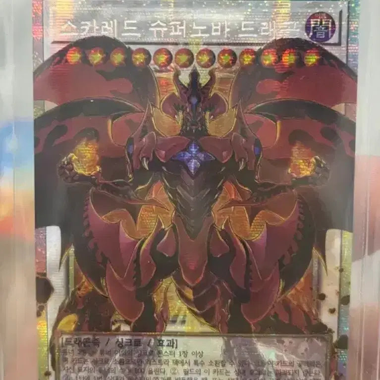 [BUNJANG] Yu-Gi-Oh! Scarlet Supernova Dragon (Over Burst) / 유희왕 스카레드 슈퍼노바 드래곤(오버프싴)