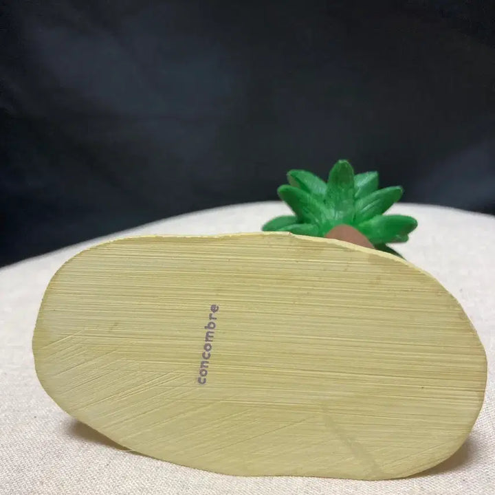[BUNJANG] Decole Coconut Palm Desert Island Decoration / 데꼴 야자나무 무인도