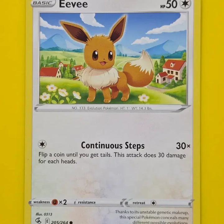 [BUNJANG] Pokemon Card Eevee North American Edition / 포켓몬카드 이브이 북미판