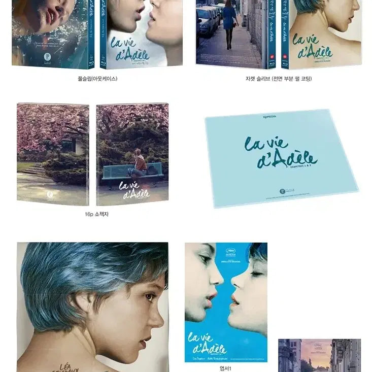 [BUNJANG] The Most Beautiful Thing, Blue Limited Edition Blu-ray / (블루레이) 가장 따뜻한 색, 블루 - 플레인아카이브 한정판